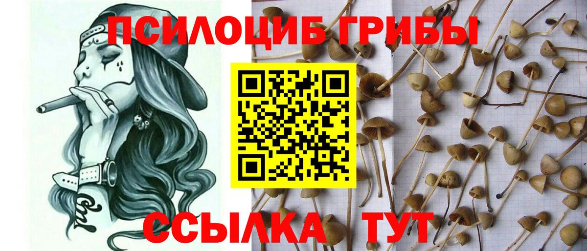 Галлюциногенные грибы мухоморы Жуковский